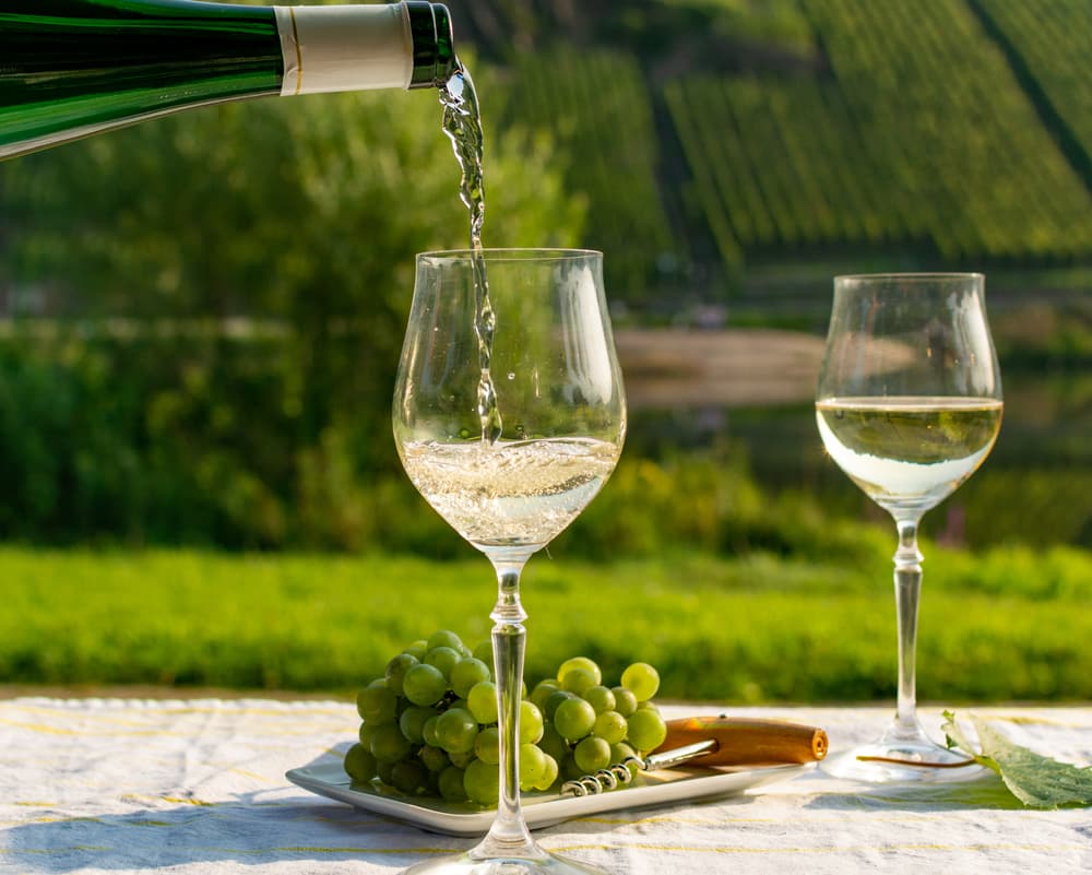 Riesling Den Föränderliga Druvan som Erövrar Smaklökarna
